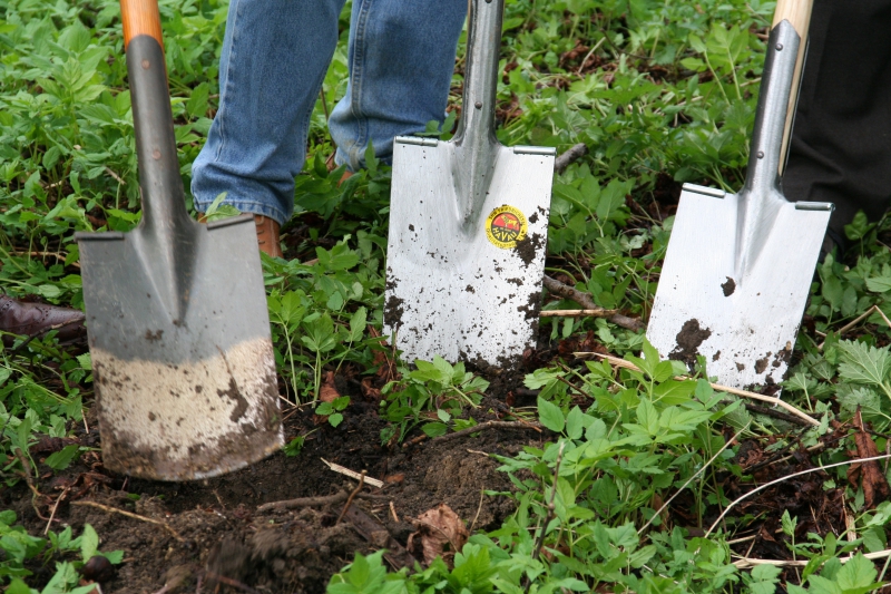 pepiniere-NICE-min_work-lawn-flower-tool-green-backyard-1103633-pxhere.com